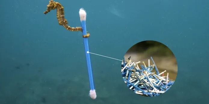 Bebird EarSight Plus I35R - Visual Ear Cleaner with HD Camera & Bendable Earpick